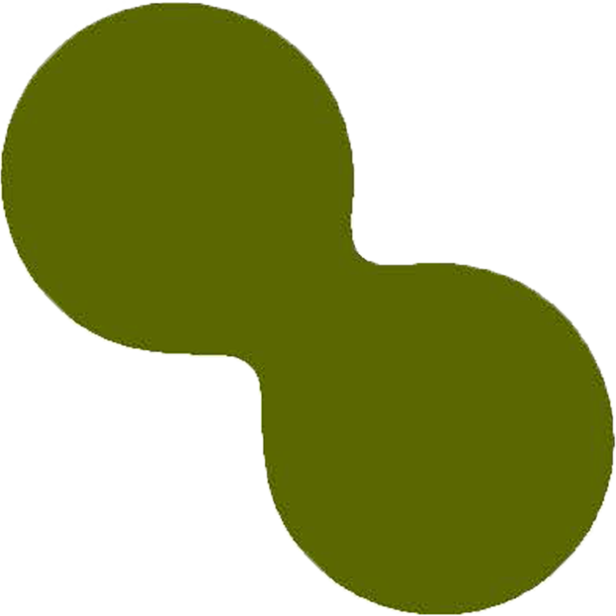 Ikona